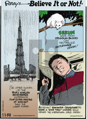 Ripley's Believe It or Not on Friday November 30, 2018 Comic Strip