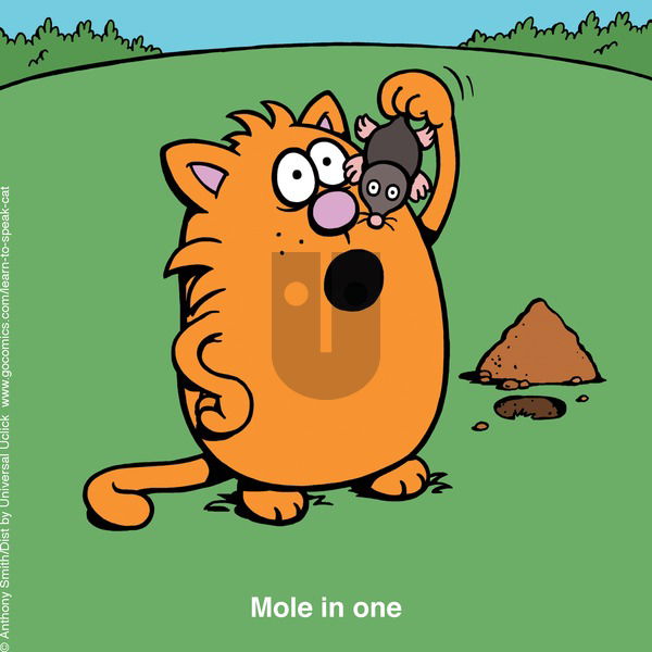 Learn to Speak Cat - Sunday September 1, 2024 Comic Strip