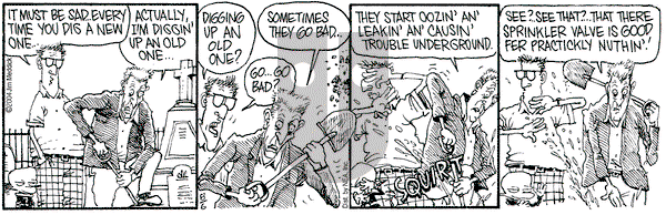 Monty - Friday August 6, 2004 Comic Strip
