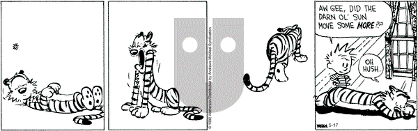 Calvin and Hobbes - Tuesday May 17, 2022 Comic Strip