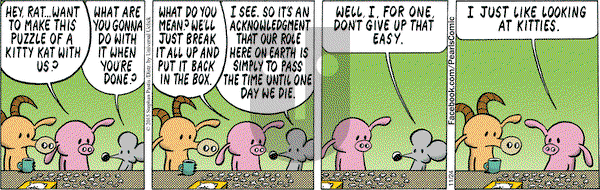 Pearls Before Swine on Tuesday November 24, 2015 Comic Strip