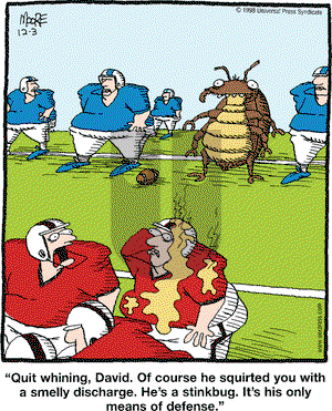 In the Bleachers on Thursday December 3, 1998 Comic Strip