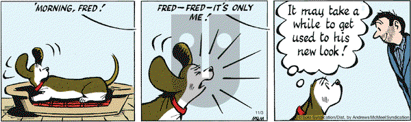 Fred Basset on Tuesday November 3, 2020 Comic Strip