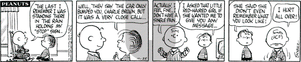 Peanuts - Friday November 25, 1966 Comic Strip
