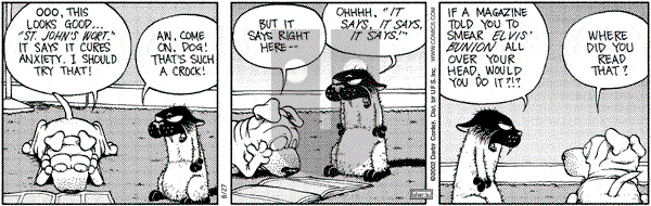 Get Fuzzy on Thursday January 1, 2004 Comic Strip