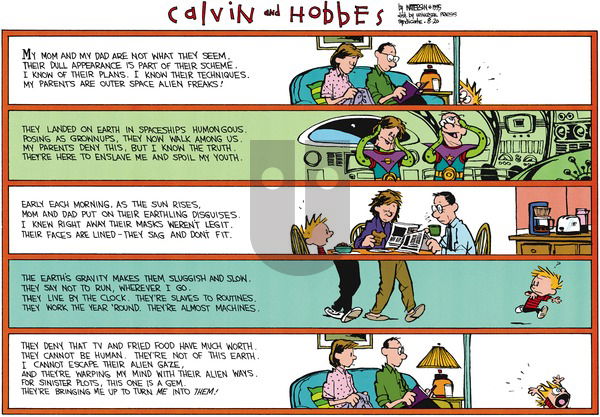 Calvin and Hobbes on Sunday August 20, 1995 Comic Strip