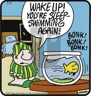 Ziggy - Thursday February 20, 2025 Comic Strip