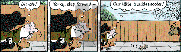 Fred Basset on Saturday January 17, 2015 Comic Strip