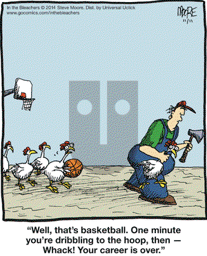 In the Bleachers on Tuesday November 11, 2014 Comic Strip