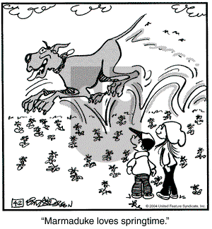 Marmaduke on Friday April 2, 2004 Comic Strip
