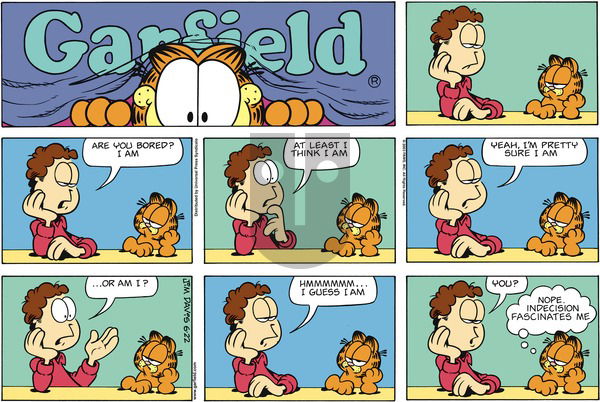 Garfield on Sunday June 22, 2003 Comic Strip