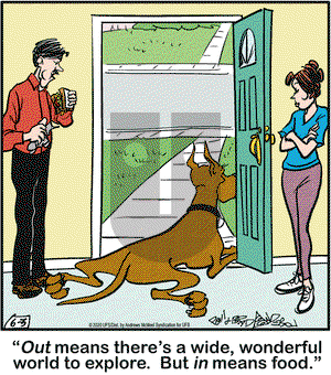Marmaduke on Wednesday June 3, 2020 Comic Strip