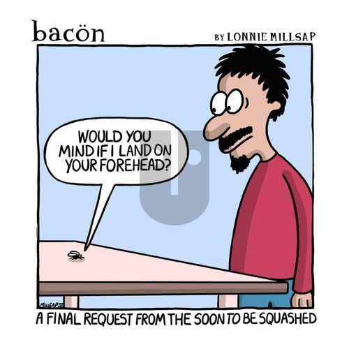 bacon on Friday March 14, 2025 Comic Strip