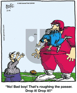 In the Bleachers - Wednesday November 19, 2008 Comic Strip