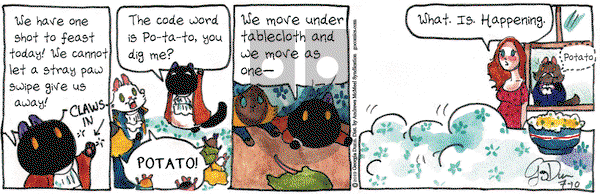 Breaking Cat News on Wednesday July 10, 2019 Comic Strip
