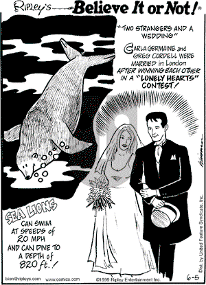 Ripley's Believe It or Not on Saturday June 5, 1999 Comic Strip