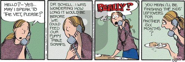 For Better or For Worse on Saturday November 22, 2008 Comic Strip