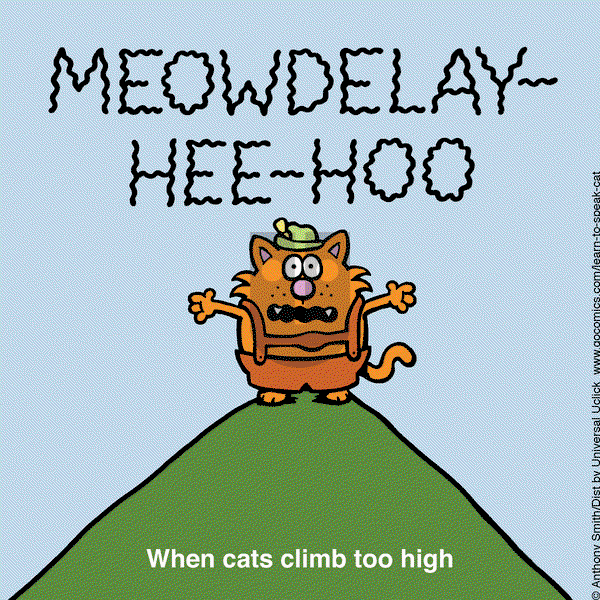 Learn to Speak Cat on Saturday June 7, 2025 Comic Strip