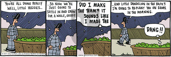 Overboard on Saturday May 20, 2017 Comic Strip