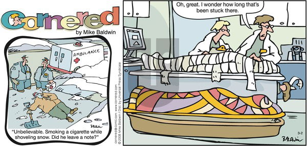 Cornered on Sunday March 2, 2008 Comic Strip