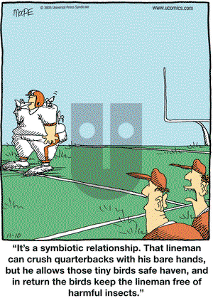 In the Bleachers on Thursday November 10, 2005 Comic Strip