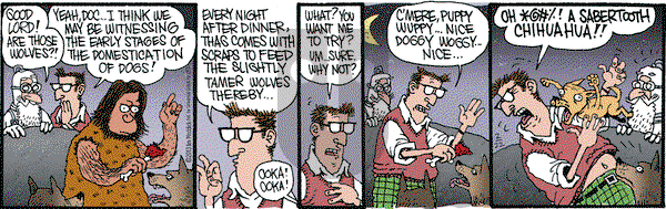 Monty on Friday February 22, 2013 Comic Strip