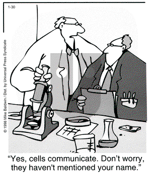 Cornered on Sunday August 2, 1998 Comic Strip