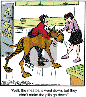 Marmaduke on Tuesday October 12, 2010 Comic Strip