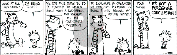 Calvin and Hobbes - Saturday December 18, 1993 Comic Strip