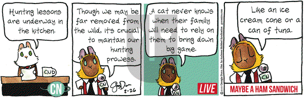 Breaking Cat News on Tuesday February 26, 2019 Comic Strip
