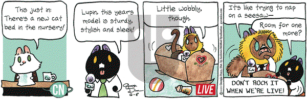 Breaking Cat News on Monday June 8, 2020 Comic Strip