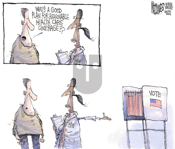 Matt Davies on Tuesday November 6, 2018 Comic Strip