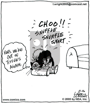 Kit 'N' Carlyle on Wednesday November 16, 2005 Comic Strip