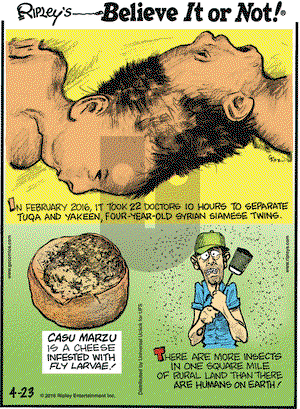 Ripley's Believe It or Not on Saturday April 23, 2016 Comic Strip