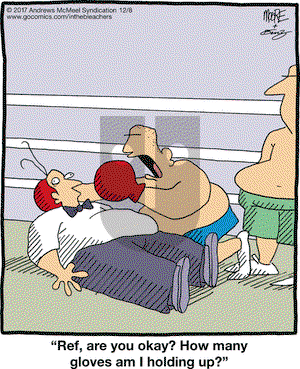 In the Bleachers on Friday December 8, 2017 Comic Strip