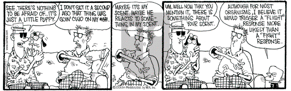 Monty on Wednesday March 29, 2006 Comic Strip