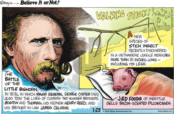 Ripley's Believe It or Not on Sunday January 25, 2015 Comic Strip
